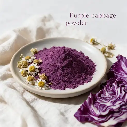How to Find a Reliable Purple Cabbage Powder Supplier?